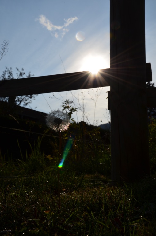 2017-09-23 Boëge/DSC_0108.JPG